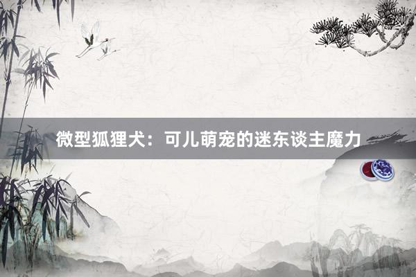 微型狐狸犬：可儿萌宠的迷东谈主魔力